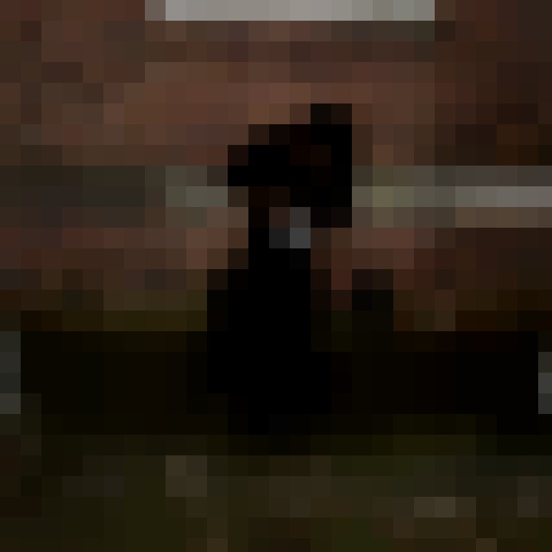 Camo's Photo