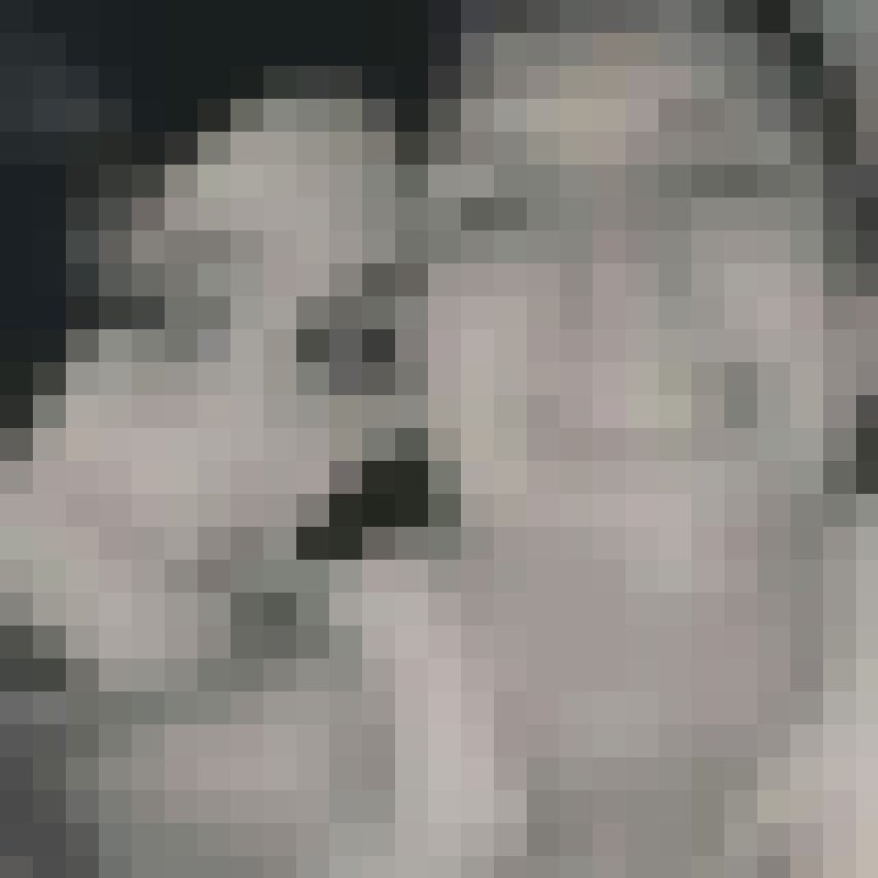 guessthecolor43808's Photo